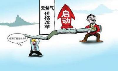 国家能源局官员：十三五将推进天然气价格改革